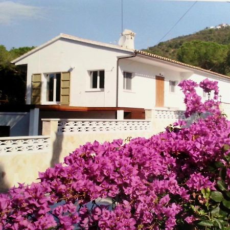 Villa Felices Juntos Platja d'Aro Eksteriør bilde